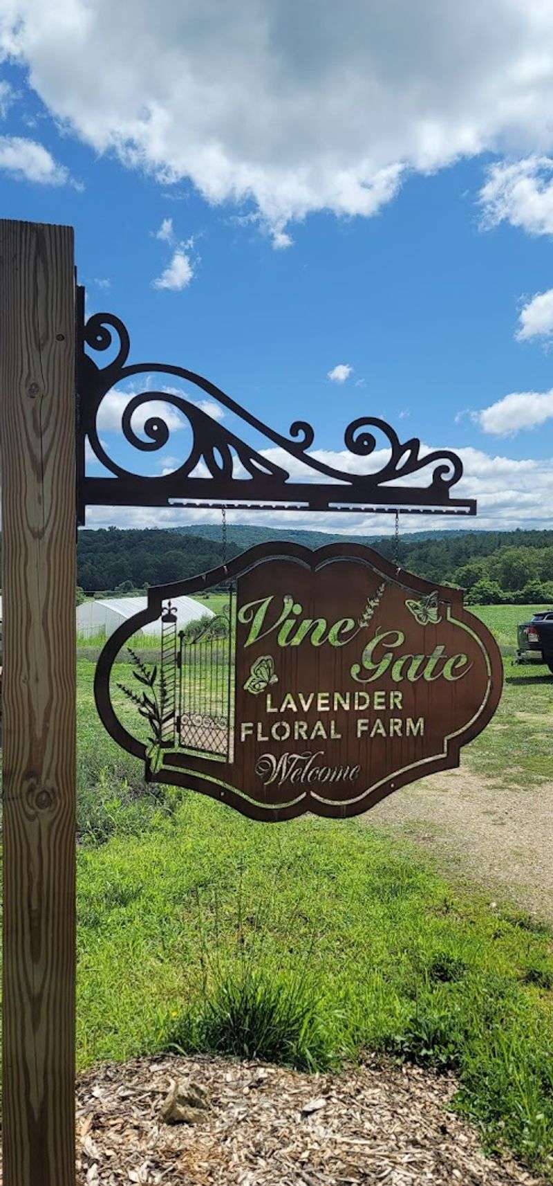 Vine Gate Lavender Floral Farm
