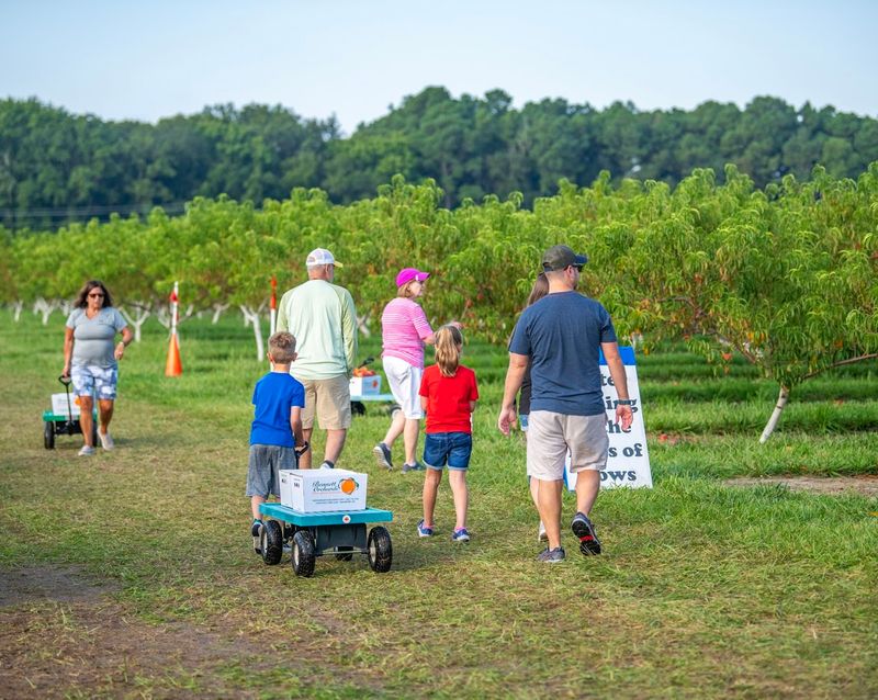 A Family Outing That Works For Every Age