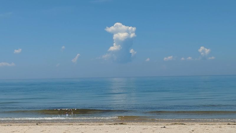 The Water Temperature And What Swims Beneath It