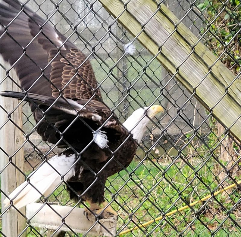 Sweetbriar Nature Center