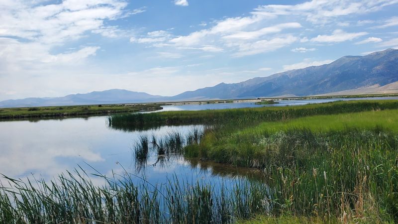 Ruby Lake, Ruby Valley