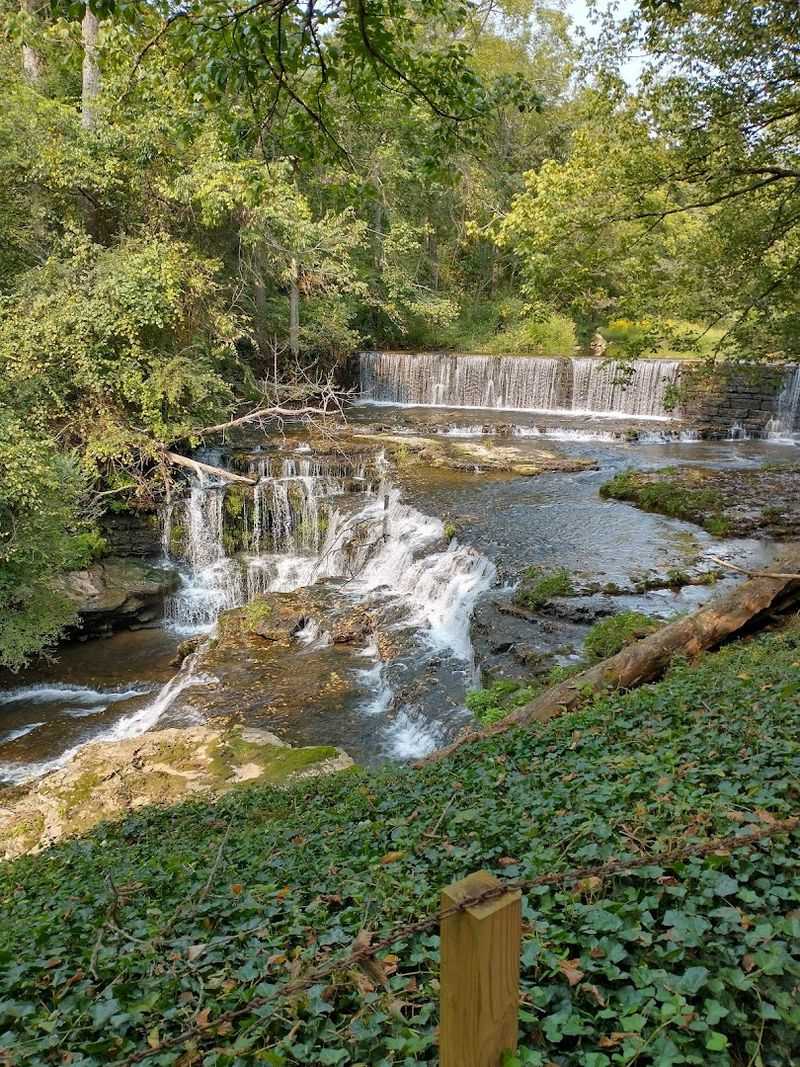 The Grounds Along Factory Creek And What They Offer