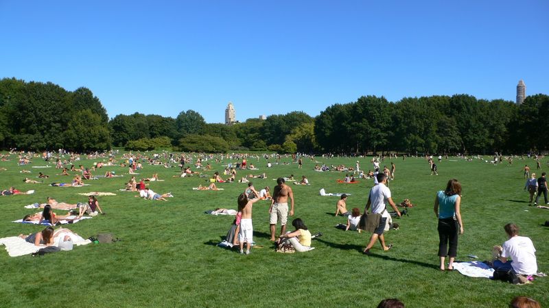 Central Park Great Lawn World Cup Final Watch Party