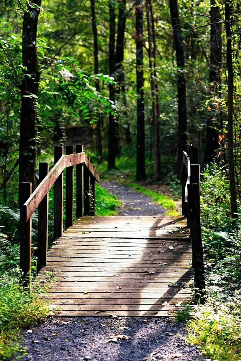 Clinton Community Nature Center