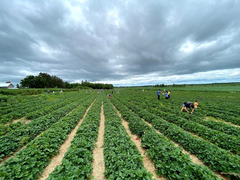 Fall Picking Season Extends The Fun Way Past Summer