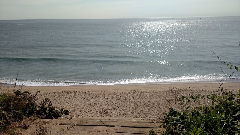 Tide Pools And Sandbars That Reward The Curious And The Patient