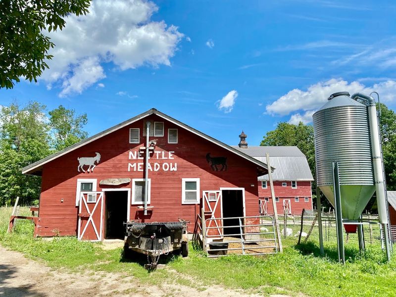 Nettle Meadow Farm