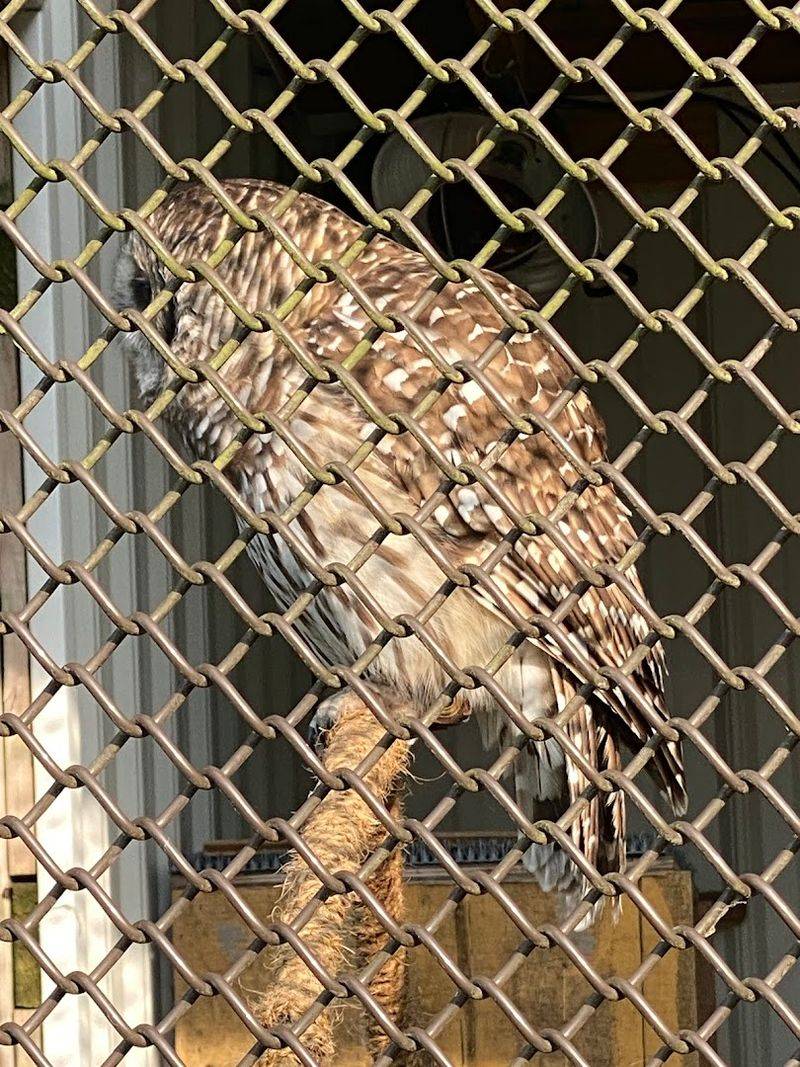 The Aviary And Wildlife Encounters Worth Slowing Down For