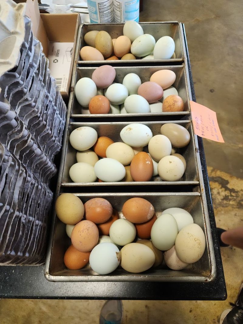 The Farm-To-Shelf Finds Everyone Loves