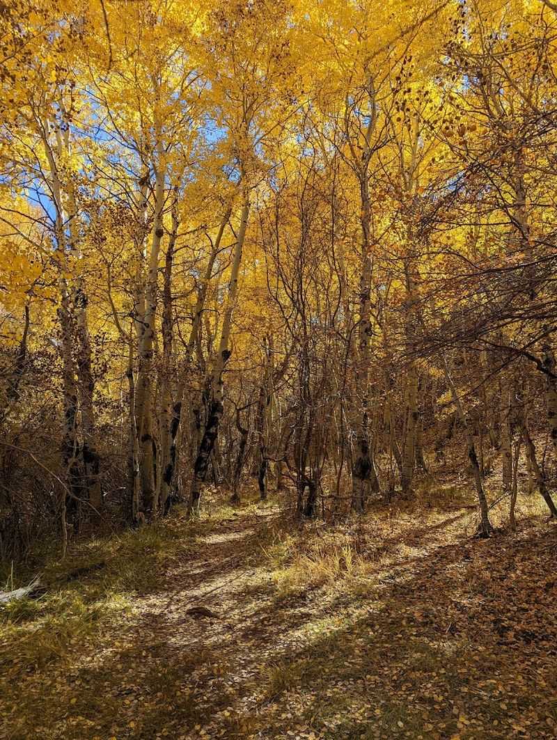 Hiking Trails Give Visitors More Than A Lake Day
