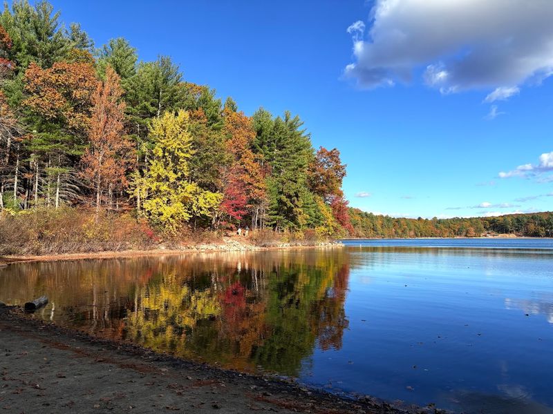 The Loop Trail Around The Pond Is Quietly One Of The Best Walks In New England