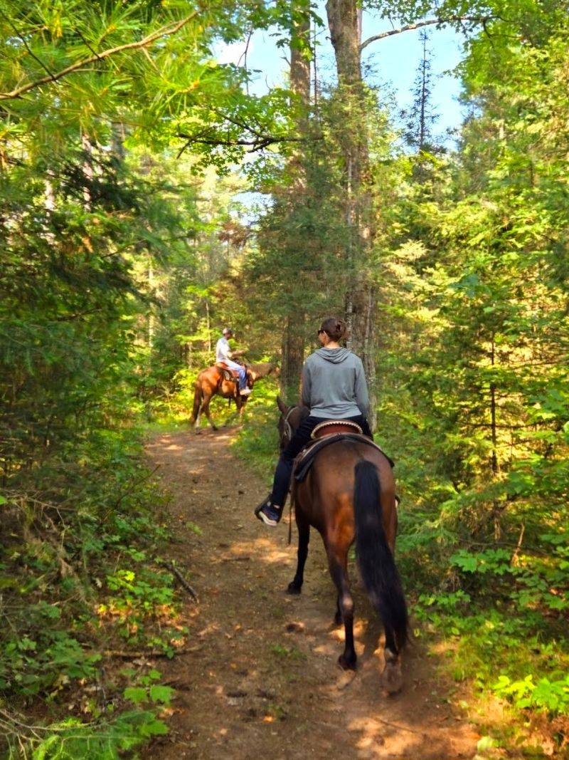 The Ride Begins Deep In Northern Wisconsin Forest Country