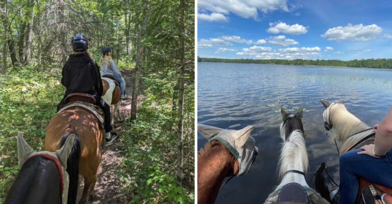 Swimming With Horses At This Remote Wisconsin Ranch Is The Bucket List Experience You Never Knew You Needed