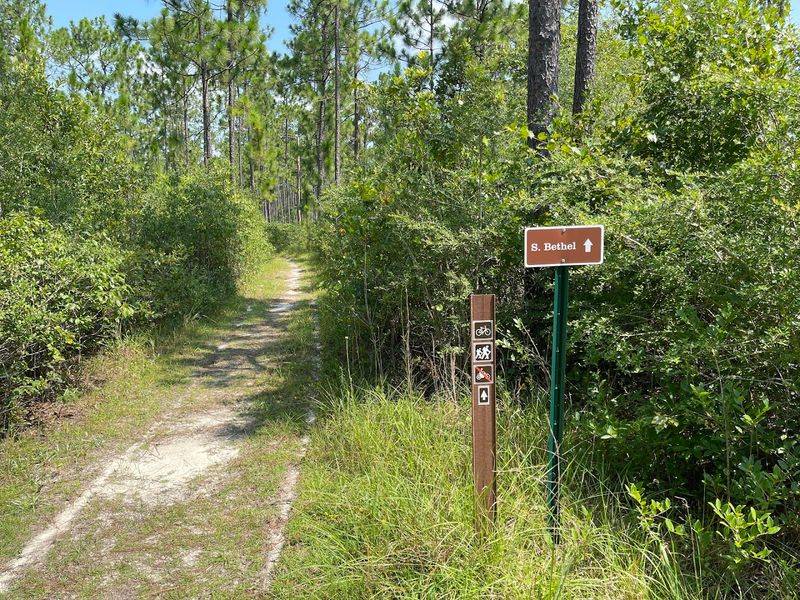 Bethel Mountain Biking Trail