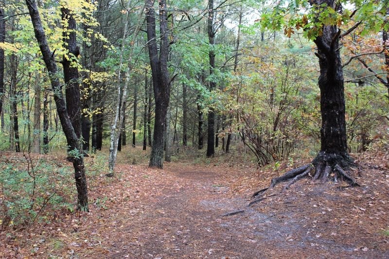 Quogue Wildlife Refuge