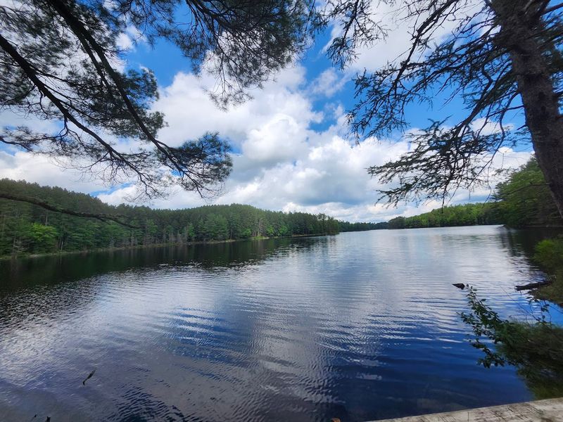 Fallison Lake - Vilas County