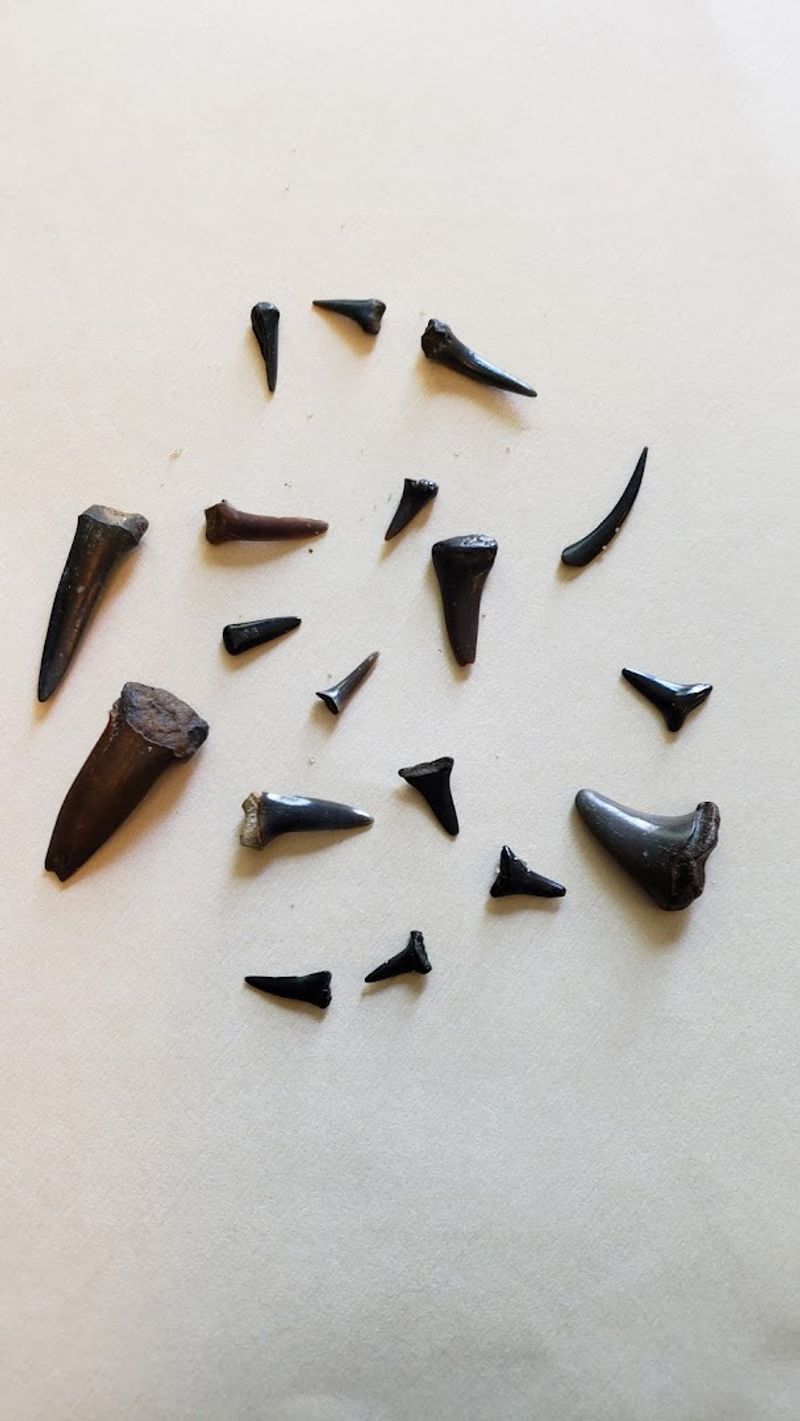 Common Types Of Gemstones Found In North Carolina