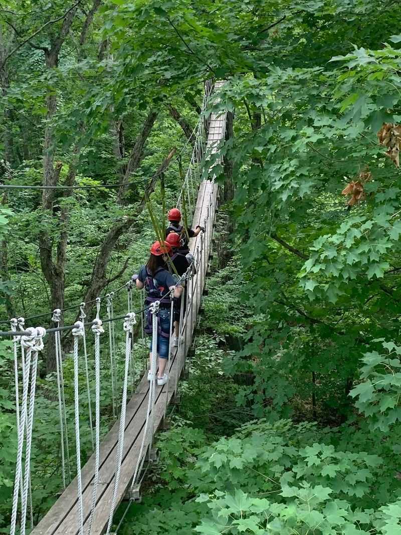 Five Sky Bridges Add More Thrill Between The Ziplines