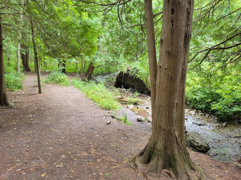 Kids Will Love The Rock Hopping But Parents Should Plan For Wet Shoes