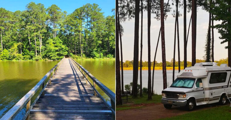 The 2,573-Acre State Park In Mississippi That Most Locals Don’t Know About