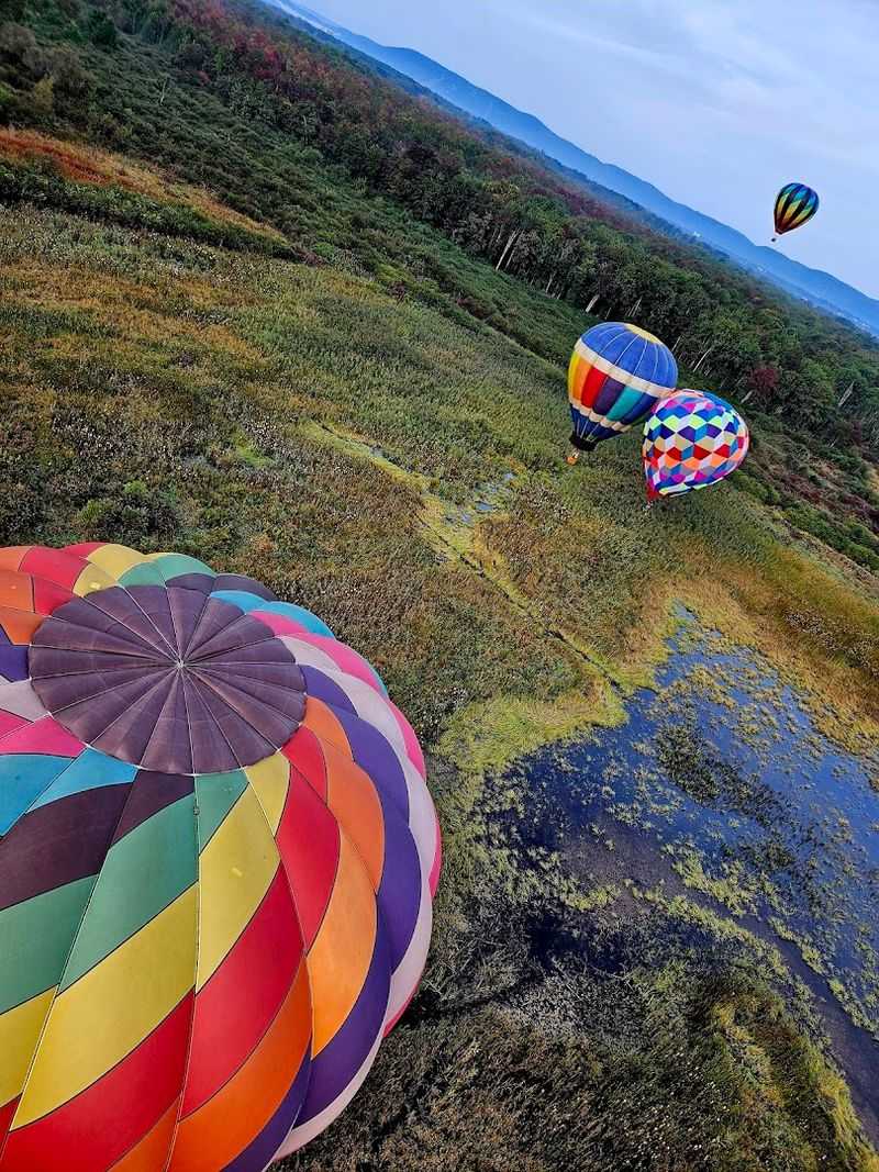 Half A Century Of Pure Liftoff