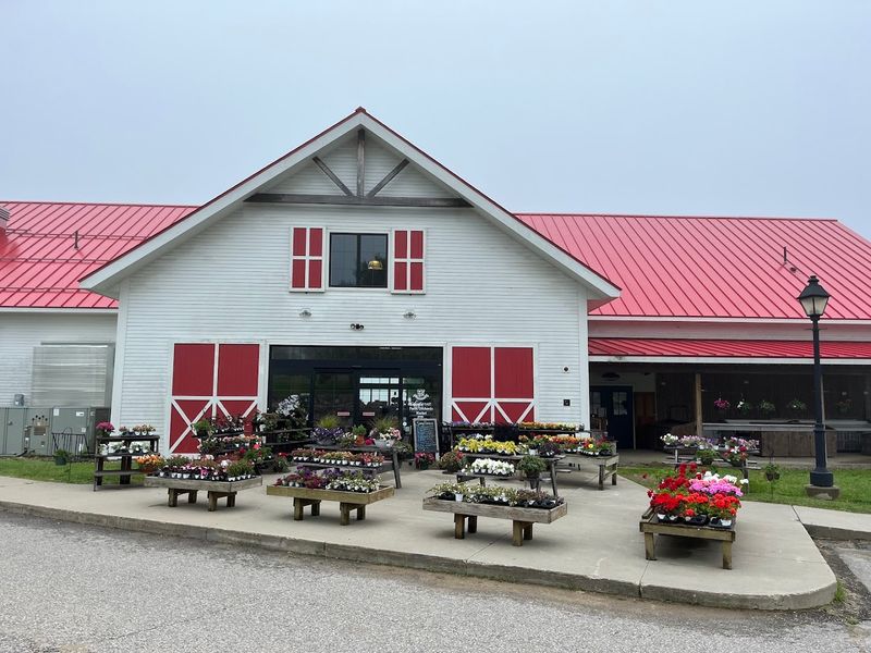 The On-Site Restaurant And Outdoor Dining Experience