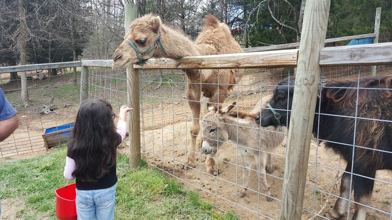 Why Supporting This Non-Profit Zoo Matters More Than You Might Think