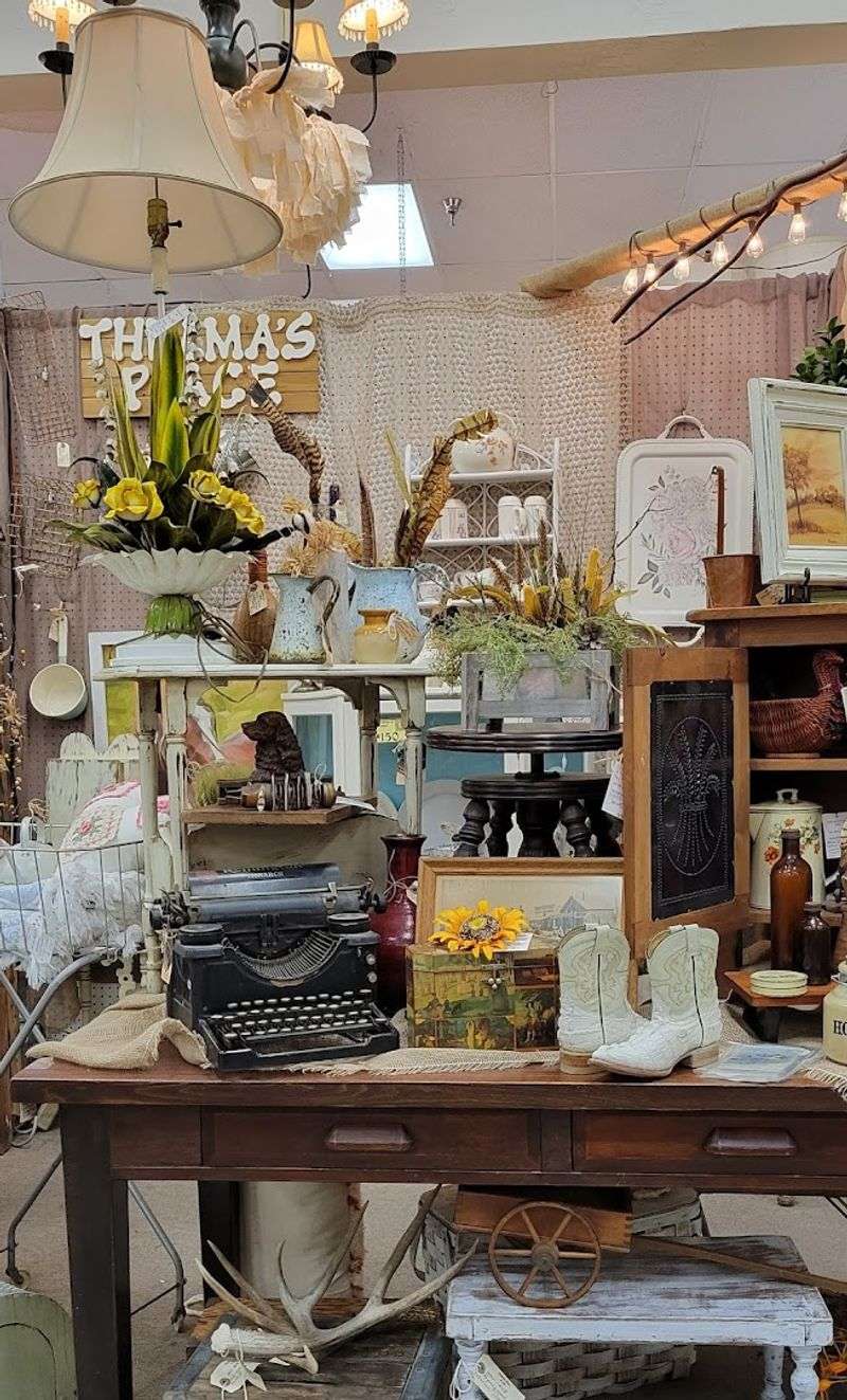 A Treasure Hunt That Changes Every Visit