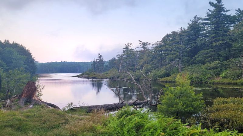 80 Percent Protected Land