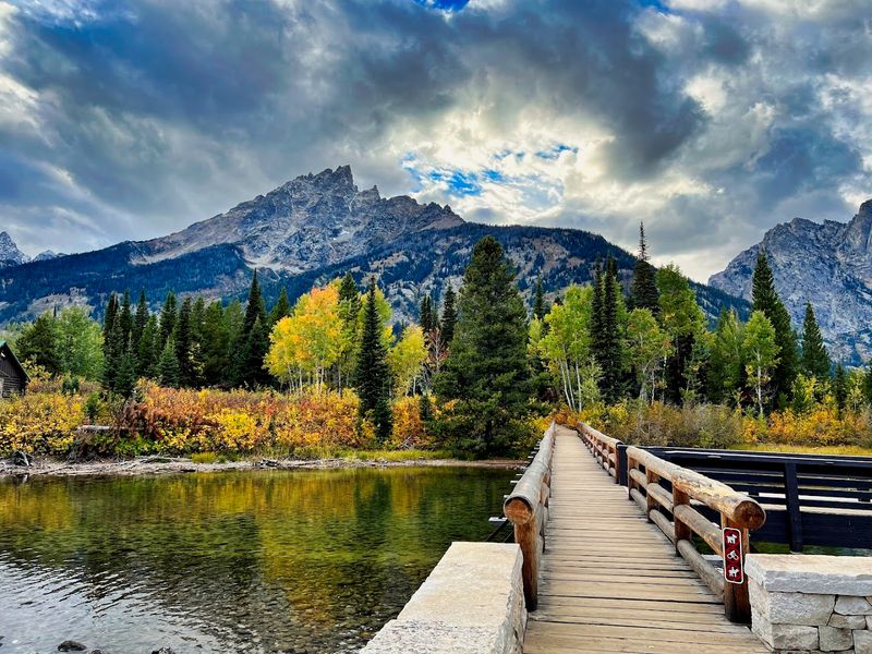 Wildflowers In Spring And Foliage In Fall Make Timing Matter
