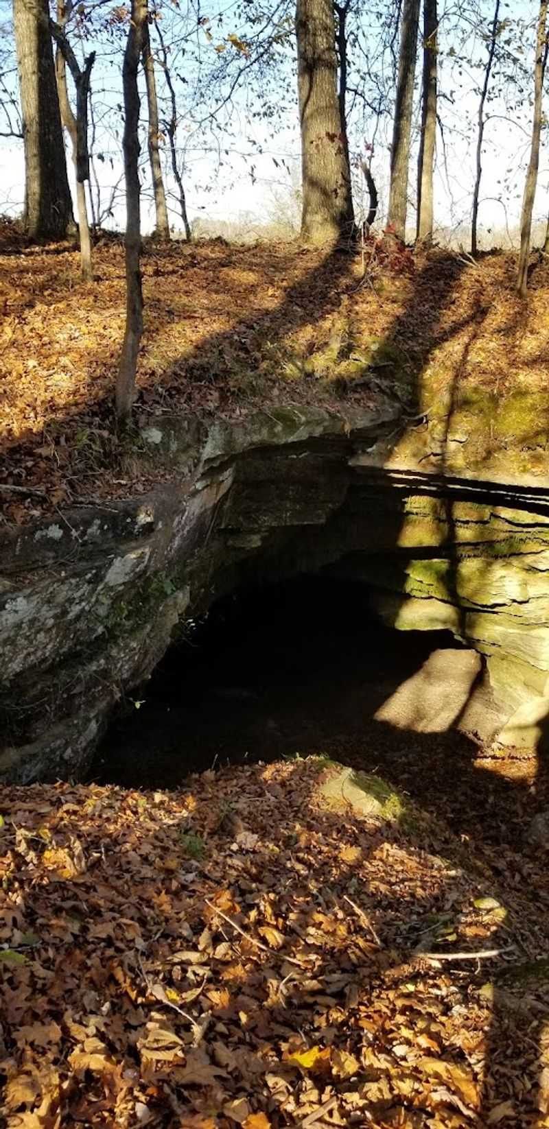 Why Cave Spring Deserves A Spot On Your Mississippi Road Trip
