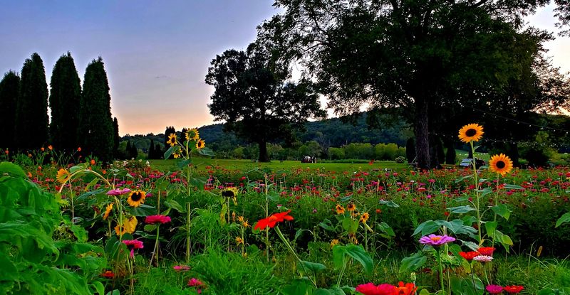 Why Bell Buckle Makes The Perfect Day Trip Destination