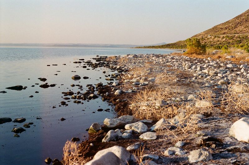 Conservation Efforts And The Fight To Save The Lake