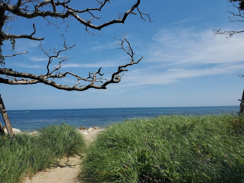 Why This Short Walk Stays With You Long After You Leave