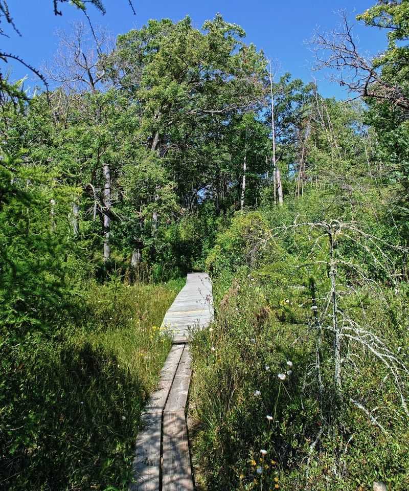 Every Step Shows How Wisconsin's Glacial Past Still Shapes The Land