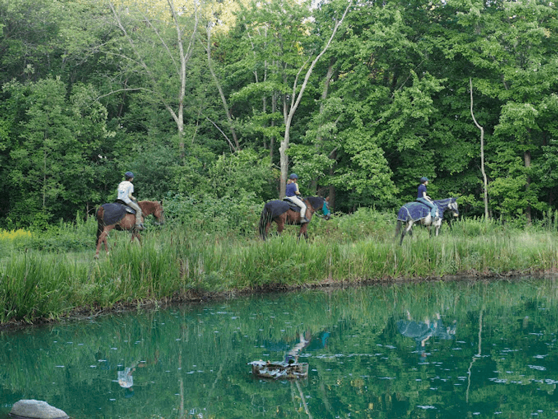 Horseback Trail Rides For Every Level Of Rider