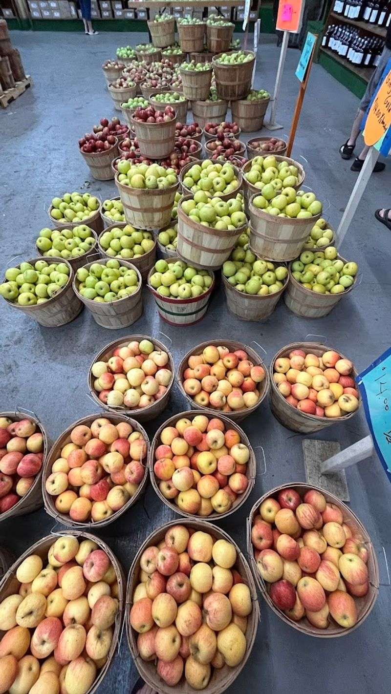Fresh Apple Cider And The Taste Of The Season