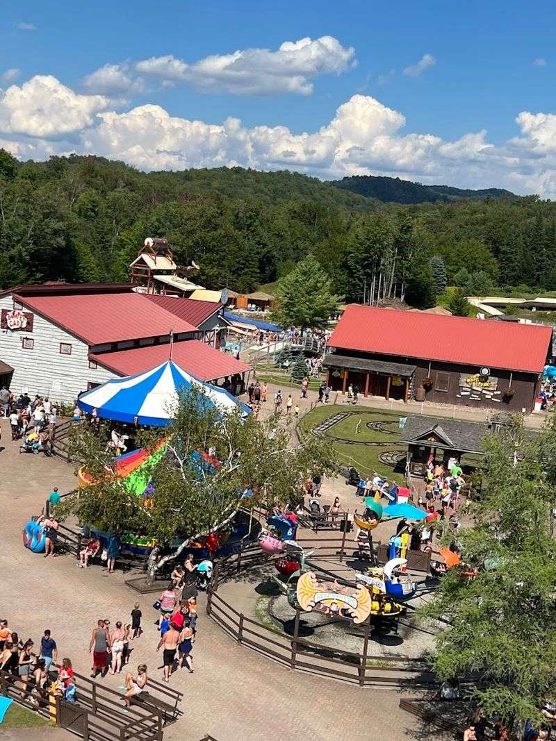 Circus Shows, A Petting Zoo, And Pure Bonus Entertainment