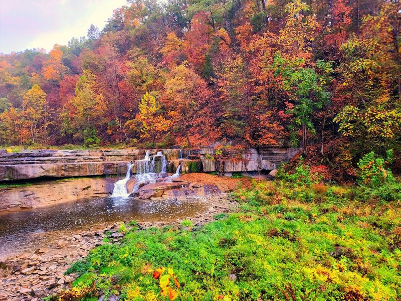 Finger Lakes Day Trip