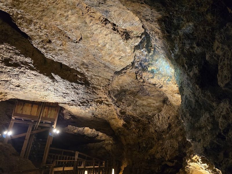 Two Farm Boys Discovered The Cave In 1881