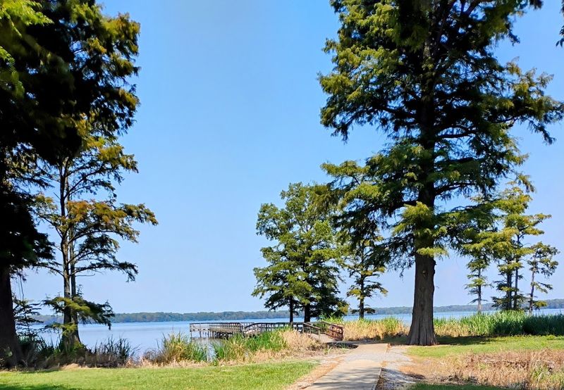 Reelfoot Lake State Park, Lake County