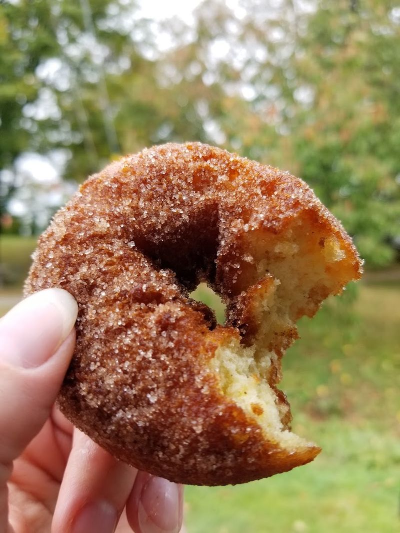 The Cinnamon Sugar Donuts That Started It All