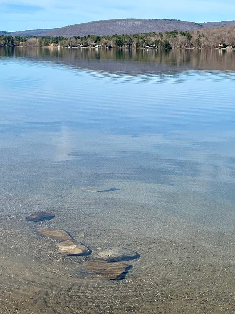Water Clarity That Earns Every Compliment