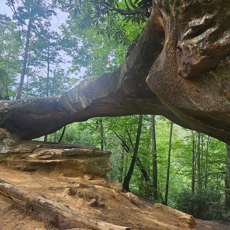 Carved By The River