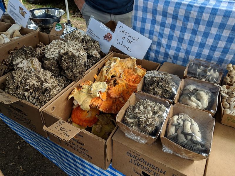 Rare Finds That Set This Market Apart