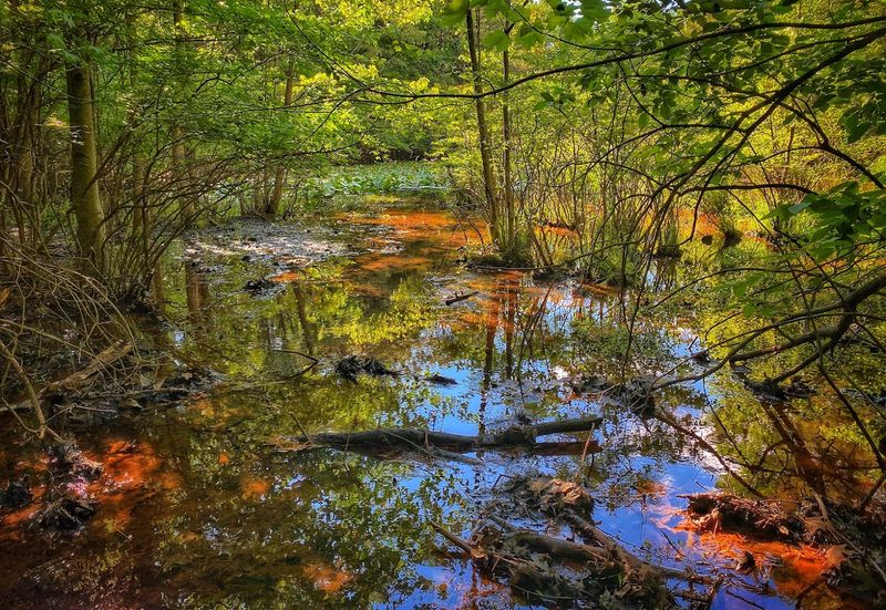 Clay Pit Ponds State Park