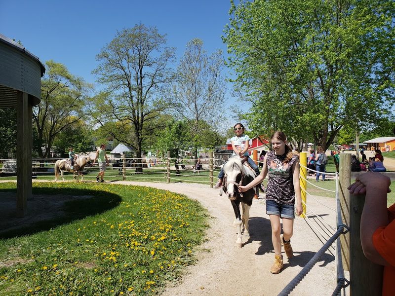 The Goat Run Gives Visitors One Of The Farm's Funniest Moments
