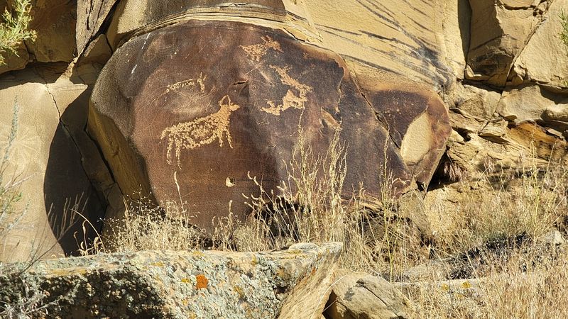 Animals Frozen In Stone Along The Rock Face