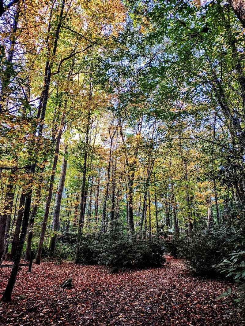 Hiking Trails That Cover Every Skill Level Imaginable