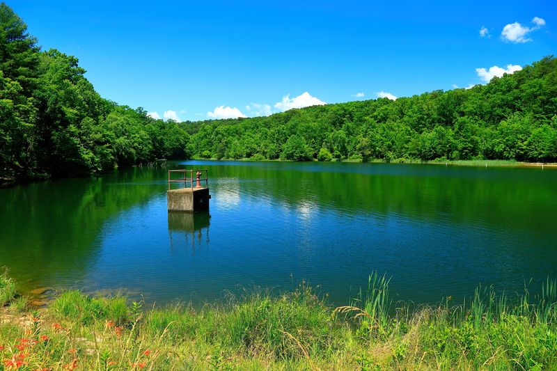 Chilhowee Recreation Area Offers Far More Than A Parking Lot